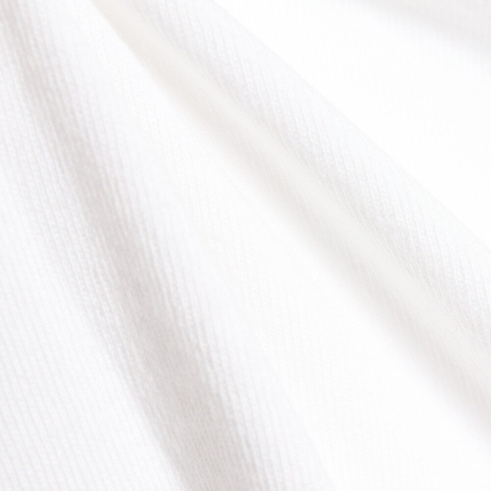 ヘルスニット（Healthknit）（メンズ）長袖Tシャツ メンズ 天竺 ヘンリーネック 906L WHT
