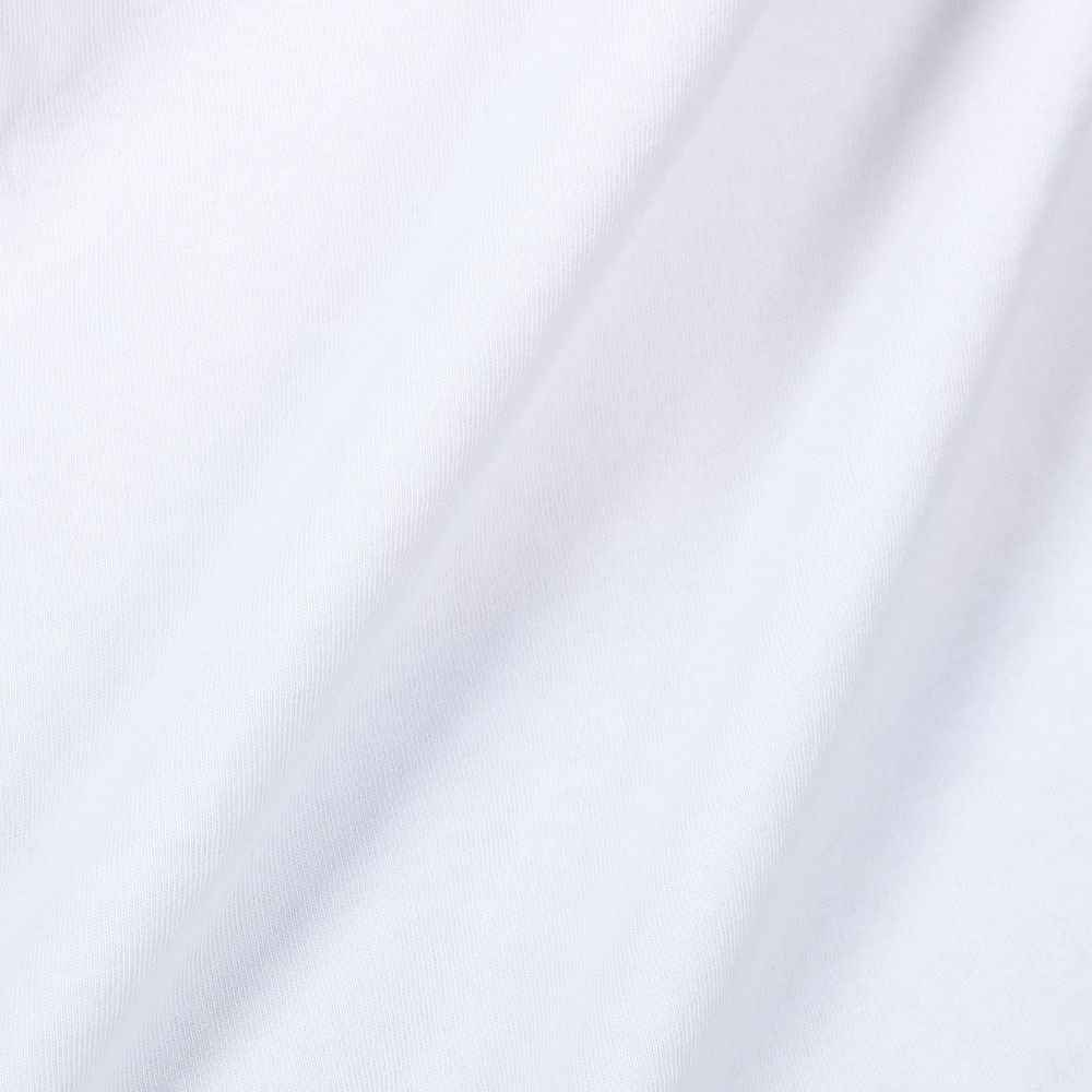リヴィアプロジェクツ（Rivvia Projectu）（メンズ）半袖Tシャツ メンズ PROJECTING T-SHIRT RTE-23101-WHT