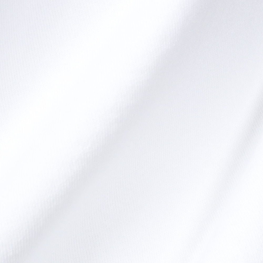 ラッセル（RUSSELL）（メンズ）Tシャツ メンズ ヘビーウエイト レタード RBM23S0001 WHT