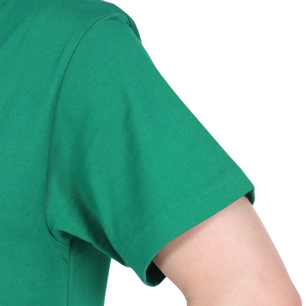 エクストララージ（XLARGE）（メンズ、レディース）半袖Tシャツ メンズ CHENILLE STANDARD 101232011023-GREEN