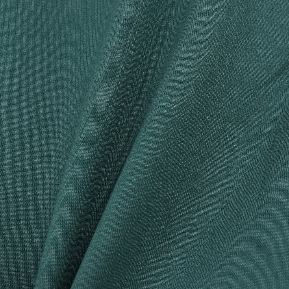 エクストララージ（XLARGE）（メンズ）長袖Tシャツ メンズ OG  101233011014-GREEN