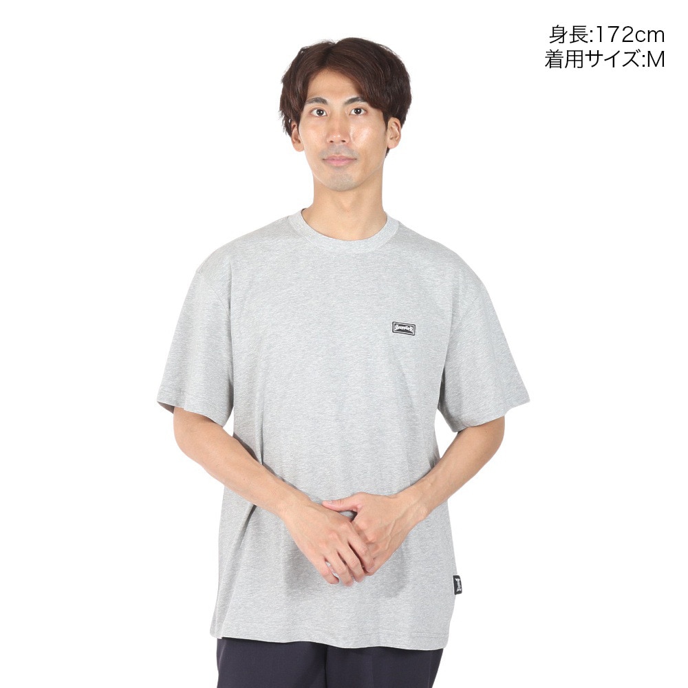 サプライヤー（SUPPLIER）（メンズ）半袖Tシャツ メンズ マイクロロゴTシャツ 22SSD2-08104-027-GY
