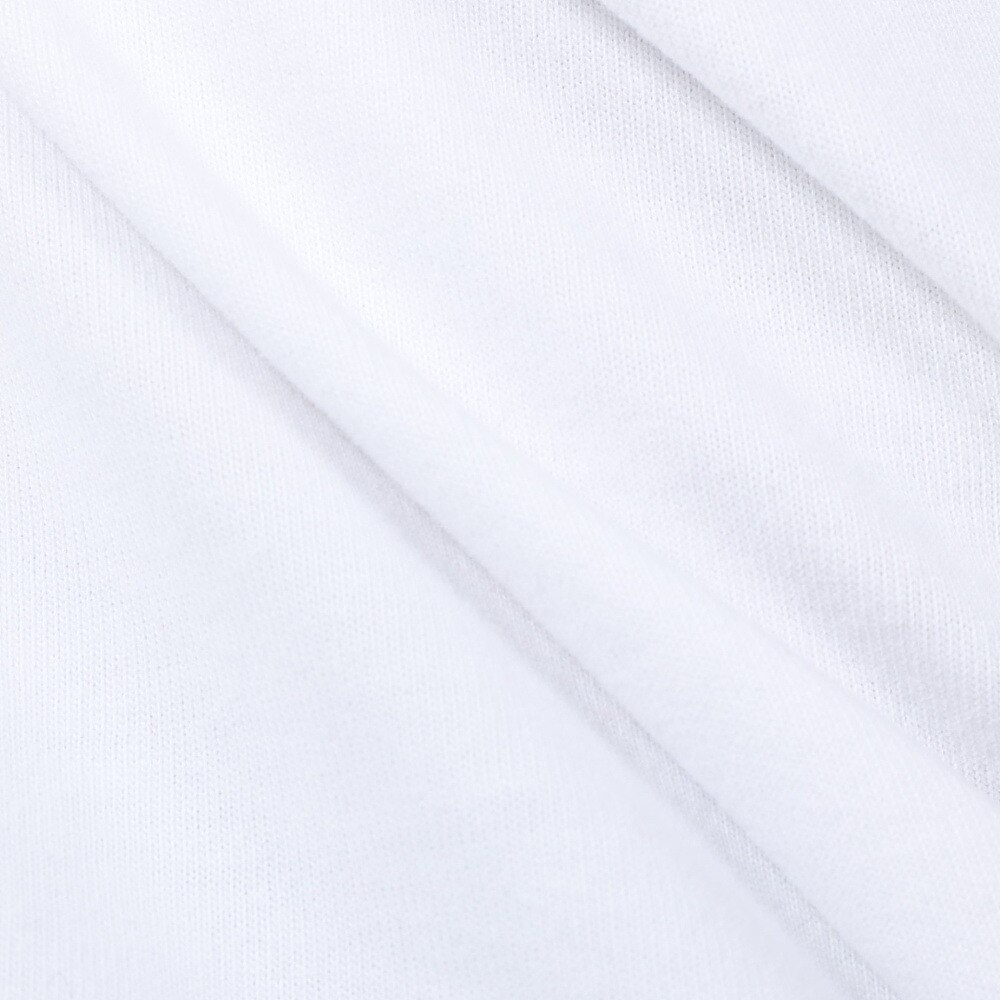 ベンデイビス（BEN DAVIS）（メンズ、レディース）HARVEST BRUSHED 長袖Tシャツ 24380022-07WHT