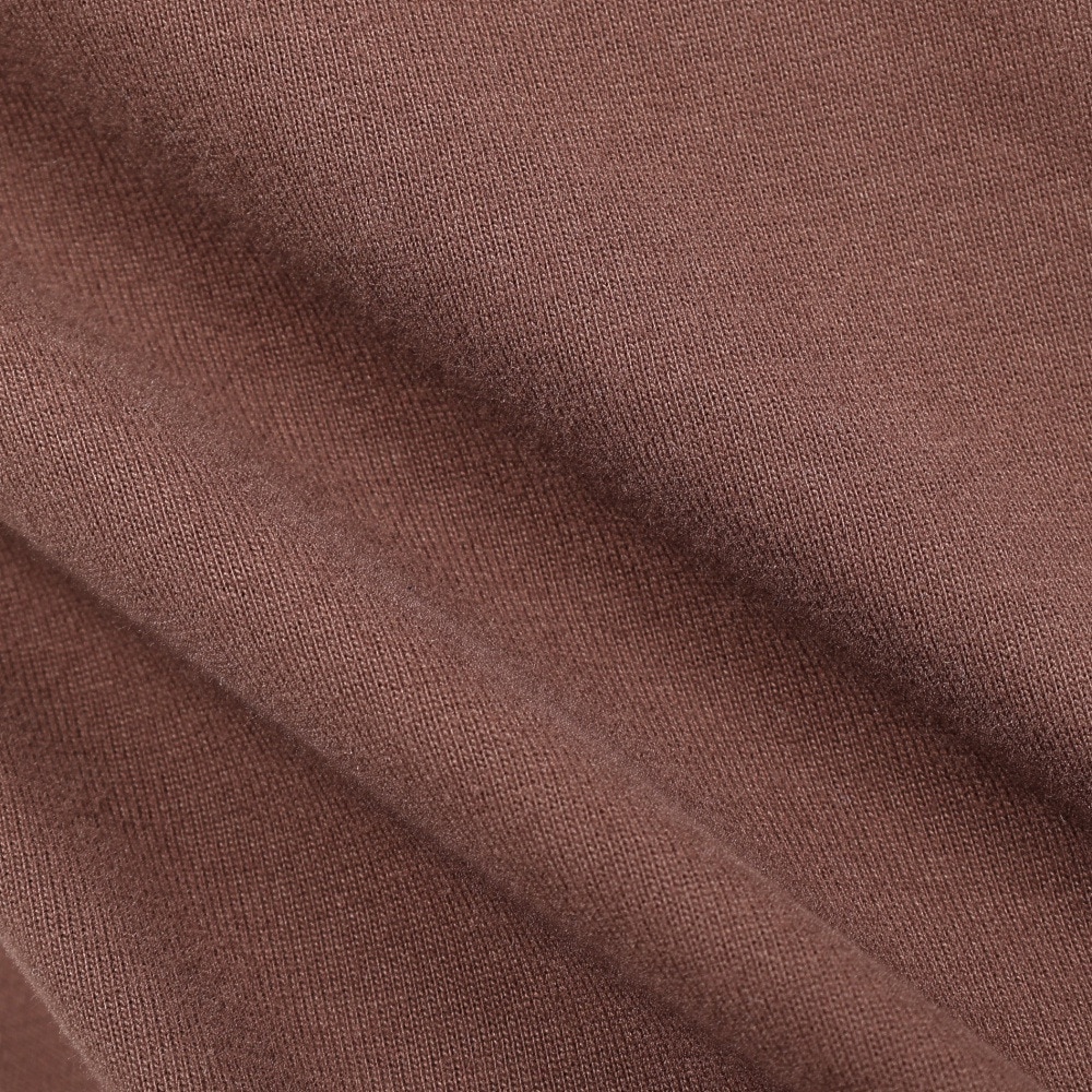ベンデイビス（BEN DAVIS）（メンズ、レディース）HARVEST BRUSHED 長袖Tシャツ 24380022-32BRW