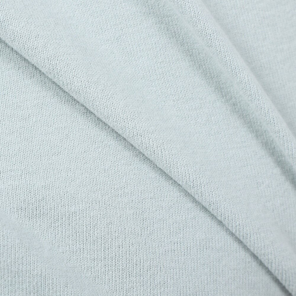 ベンデイビス（BEN DAVIS）（メンズ、レディース）HARVEST BRUSHED 長袖 Tシャツ 24380022-56IGR