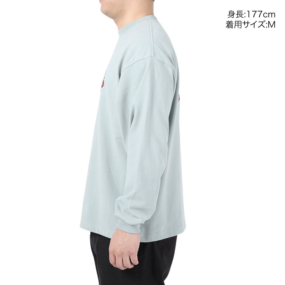 ベンデイビス（BEN DAVIS）（メンズ、レディース）HARVEST BRUSHED 長袖 Tシャツ 24380022-56IGR