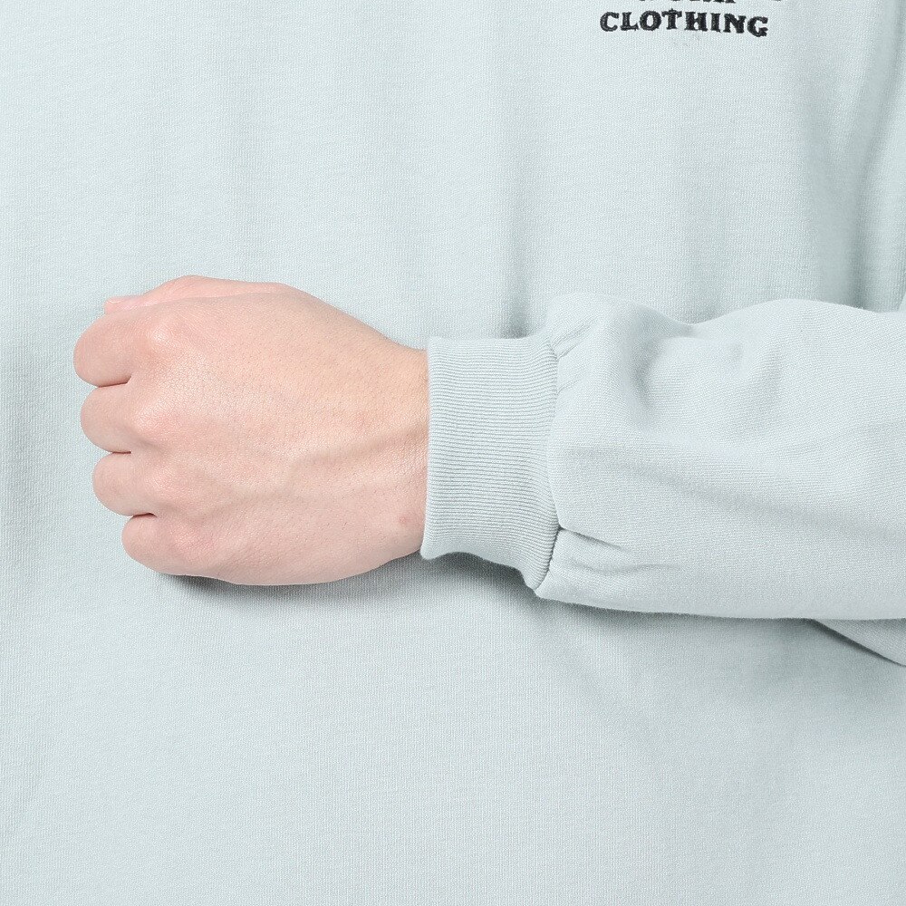 ベンデイビス（BEN DAVIS）（メンズ、レディース）HARVEST BRUSHED 長袖 Tシャツ 24380022-56IGR