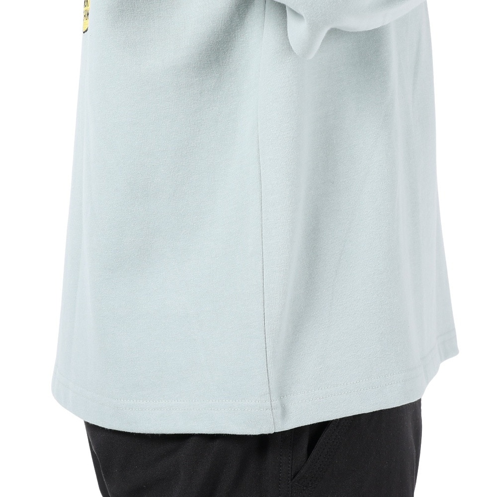 ベンデイビス（BEN DAVIS）（メンズ、レディース）HARVEST BRUSHED 長袖 Tシャツ 24380022-56IGR