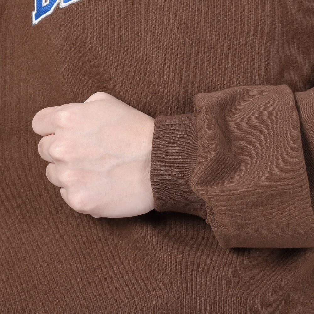 ベンデイビス（BEN DAVIS）（メンズ）カレッジ ブラッシュド 長袖Tシャツ 24380023-32BRW