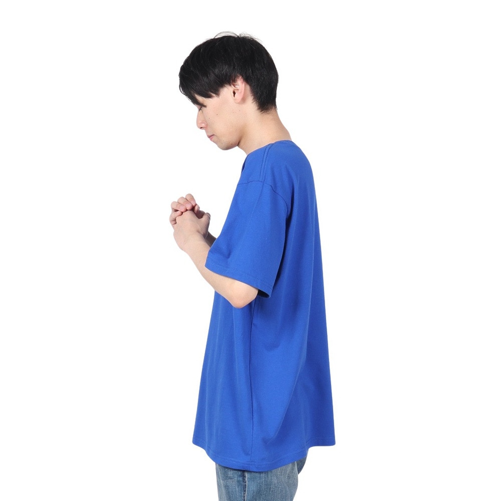 リヴィアプロジェクツ（Rivvia Projectu）（メンズ）REASON Tシャツ RTE-24102BLU