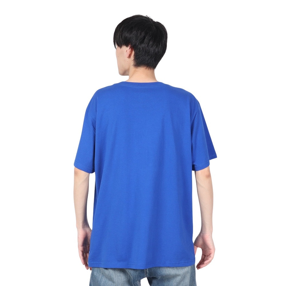 リヴィアプロジェクツ（Rivvia Projectu）（メンズ）REASON Tシャツ RTE-24102BLU