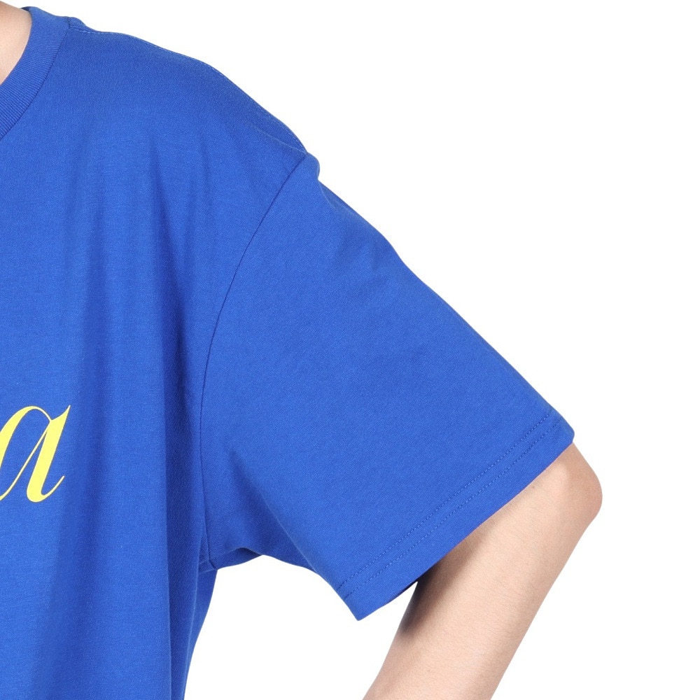 リヴィアプロジェクツ（Rivvia Projectu）（メンズ）REASON Tシャツ RTE-24102BLU