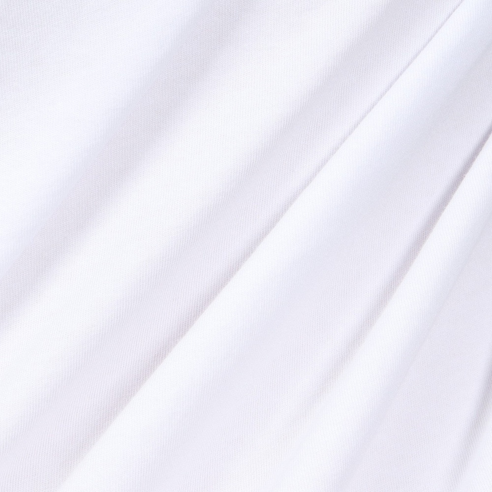 リヴィアプロジェクツ（Rivvia Projects）（メンズ）SWINGERS Tシャツ RTE-24215WHT