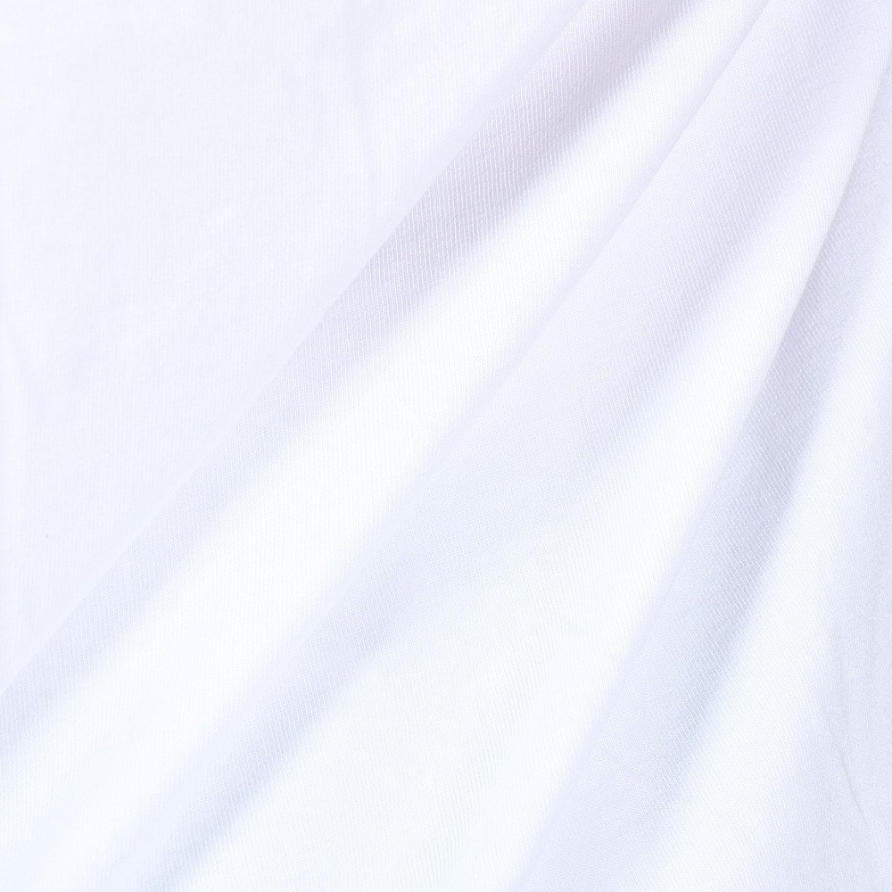 リヴィアプロジェクツ（Rivvia Projectu）（メンズ）DISCLOSURE Tシャツ RTE-24101-WHT