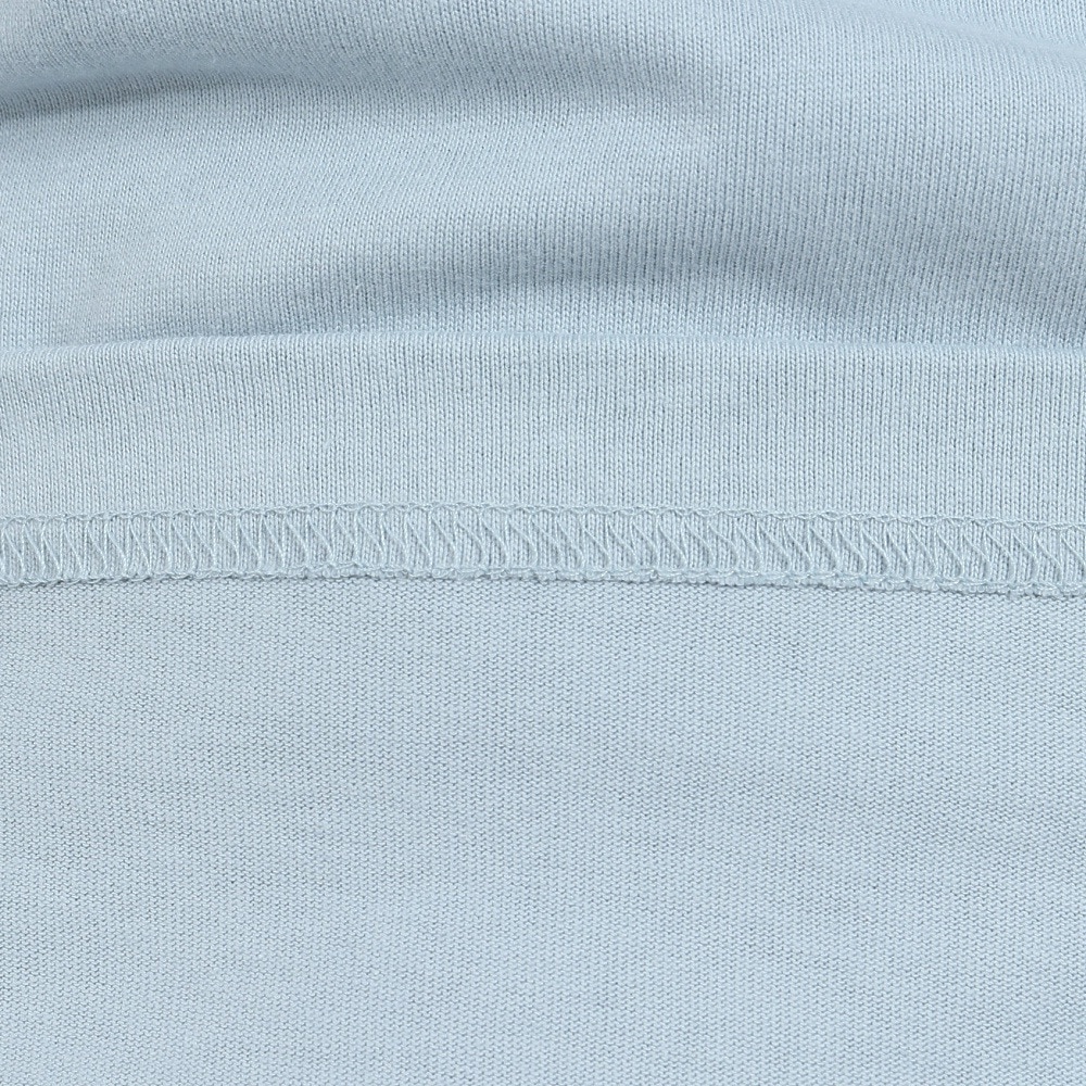 ベンデイビス（BEN DAVIS）（メンズ）ファンキー スリーブ長袖Tシャツ 24380032-PBL