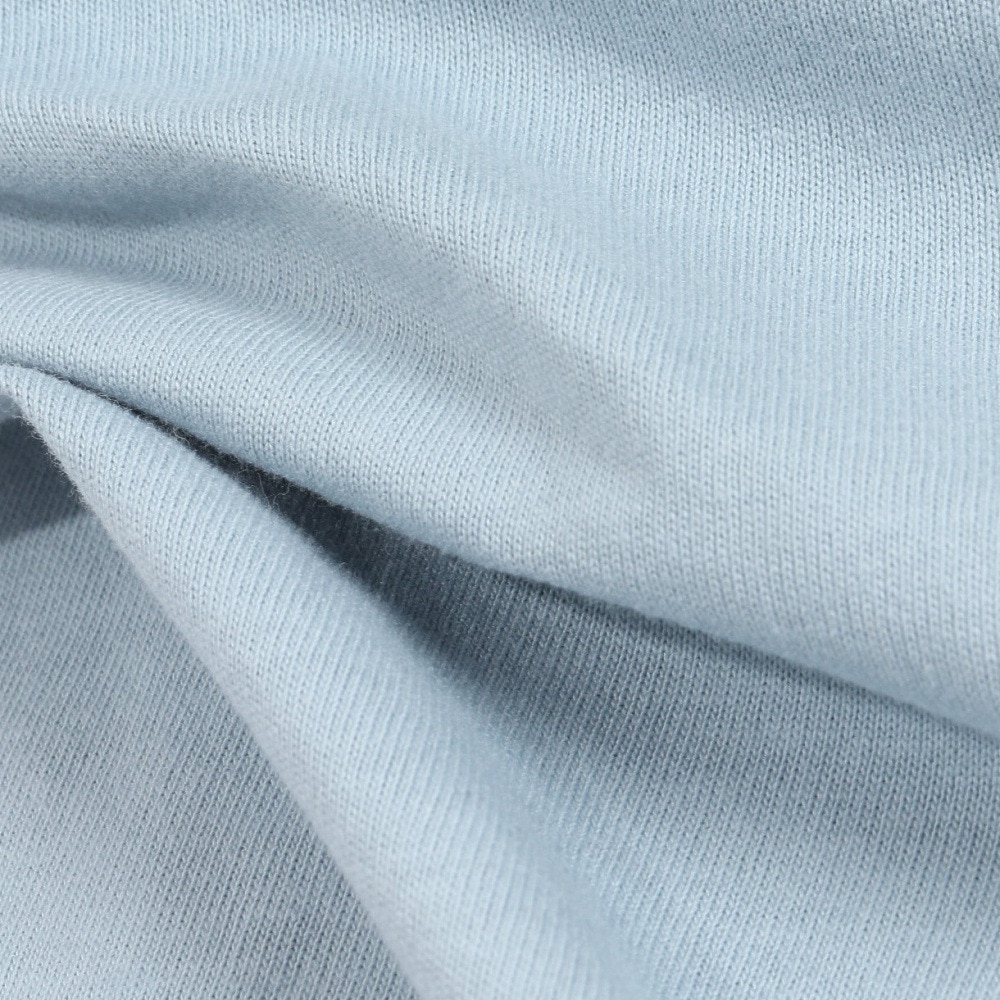 ベンデイビス（BEN DAVIS）（メンズ）ファンキー スリーブ長袖Tシャツ 24380032-PBL