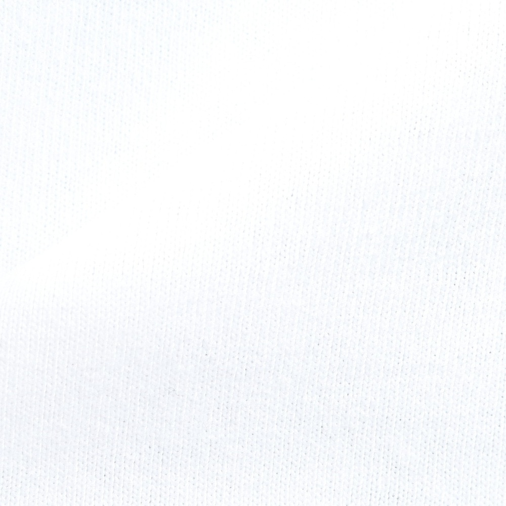 ベンデイビス（BEN DAVIS）（メンズ）レイヤードTシャツ カットハウス 24380036-WHT