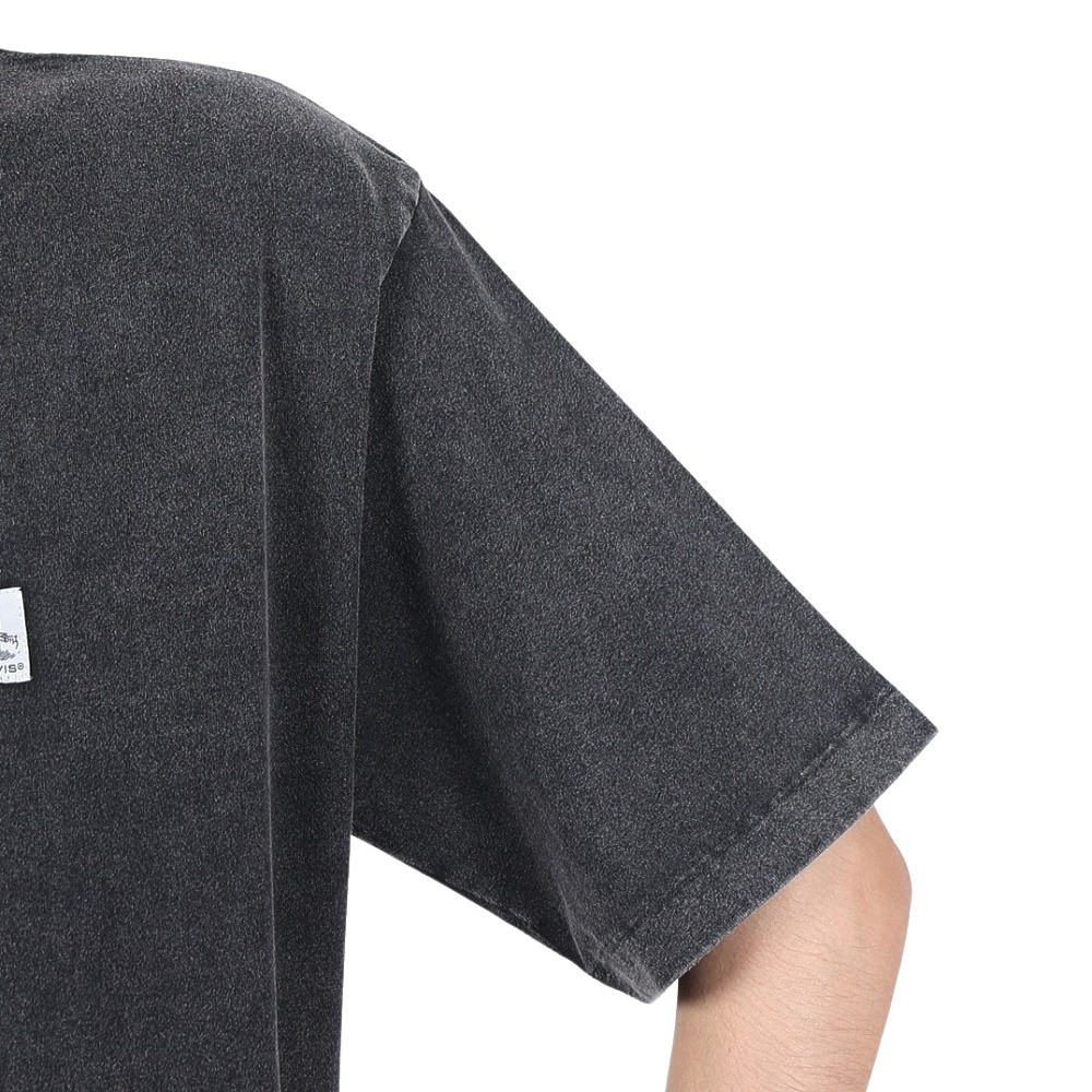 ベンデイビス（BEN DAVIS）（メンズ）Tシャツ 半袖 ブリーチ加工 ピスネームビッグ半袖Tシャツ 24580003-BLK