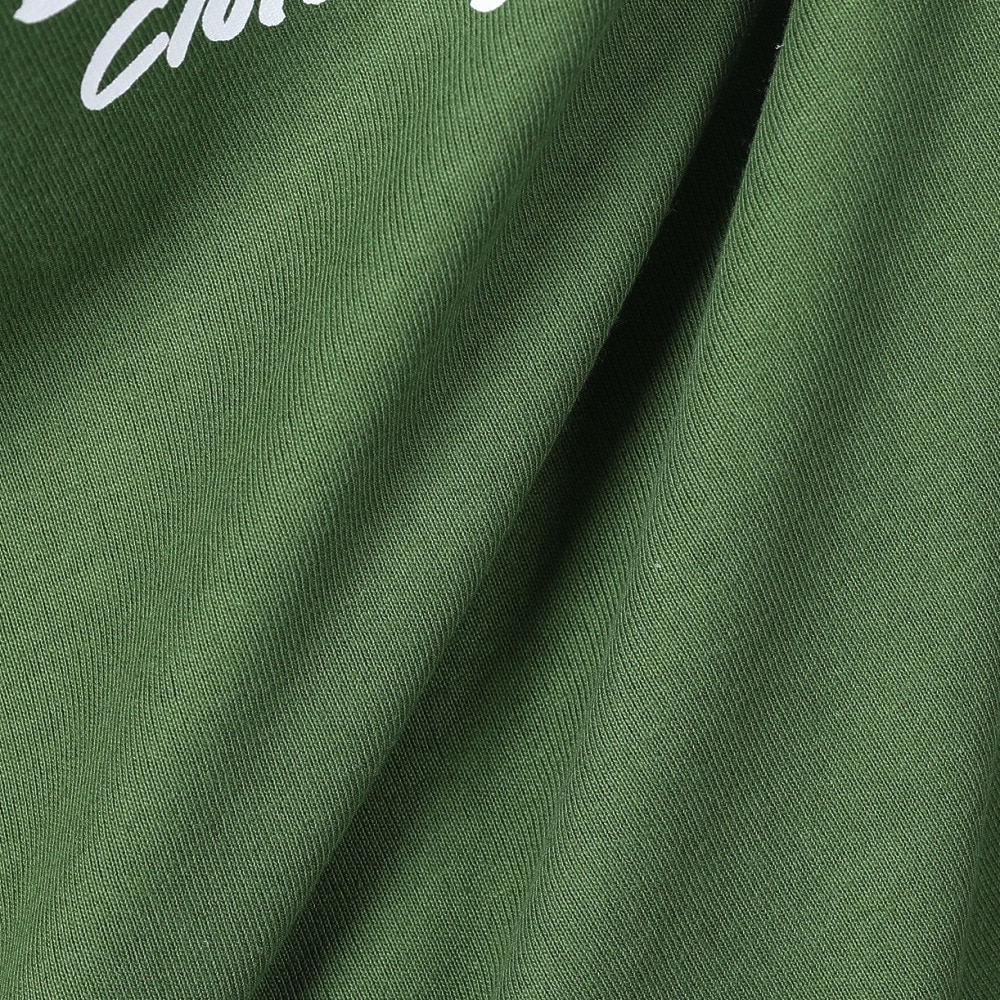 ベンデイビス（BEN DAVIS）（メンズ）スモーキング テレビ 半袖Tシャツ 24580024-FGR