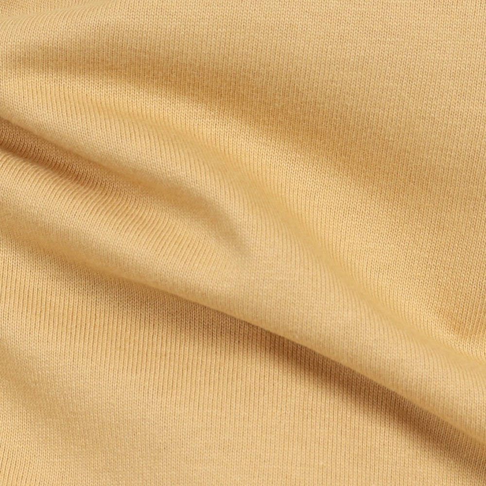 カーハート（CARHARTT）（メンズ）半袖 UNIVERSITYSCRIPT Tシャツ I02899122SXX