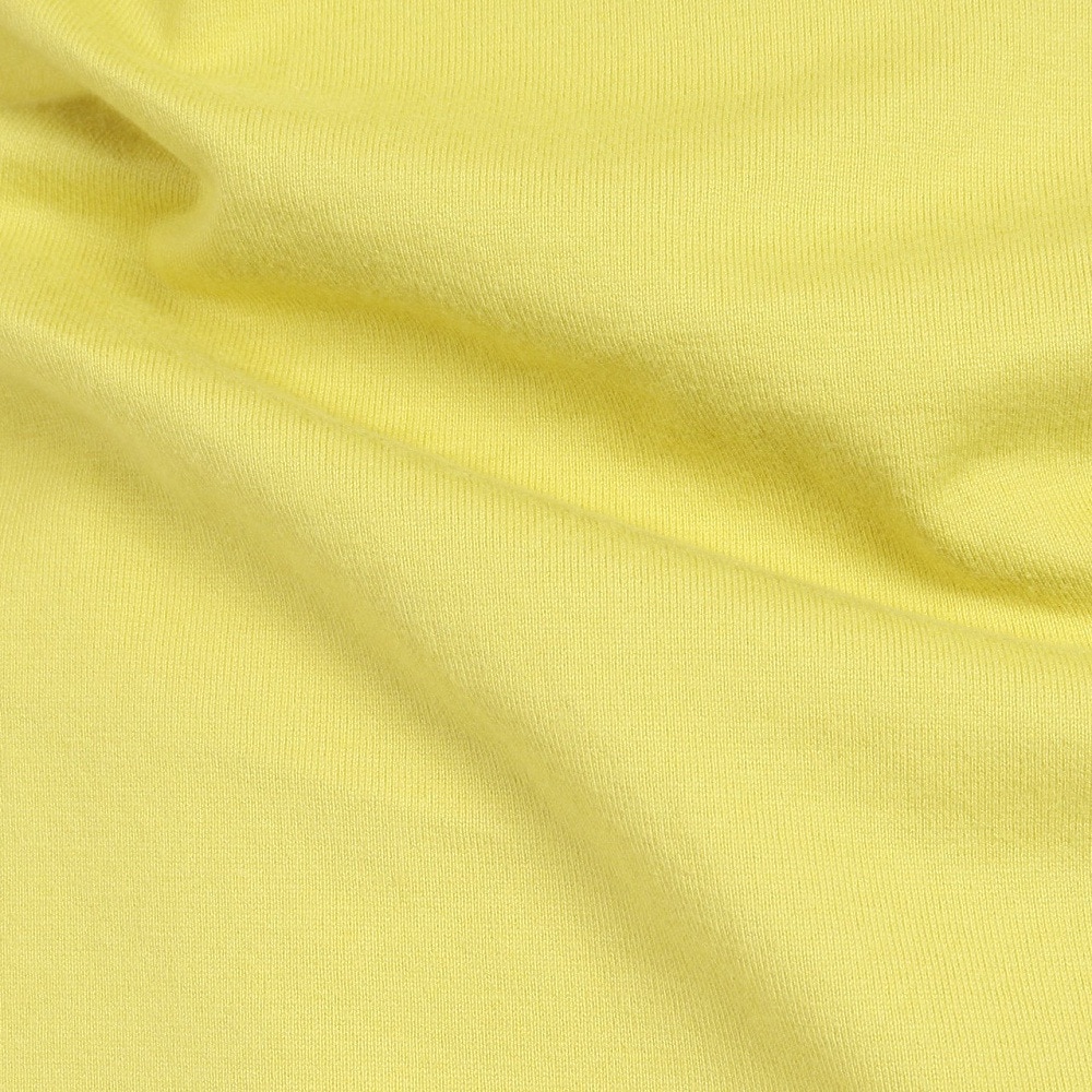 エクストララージ（XLARGE）（メンズ）SLANTED OG ショートスリーブ Tシャツ 101242011005-YELLOW