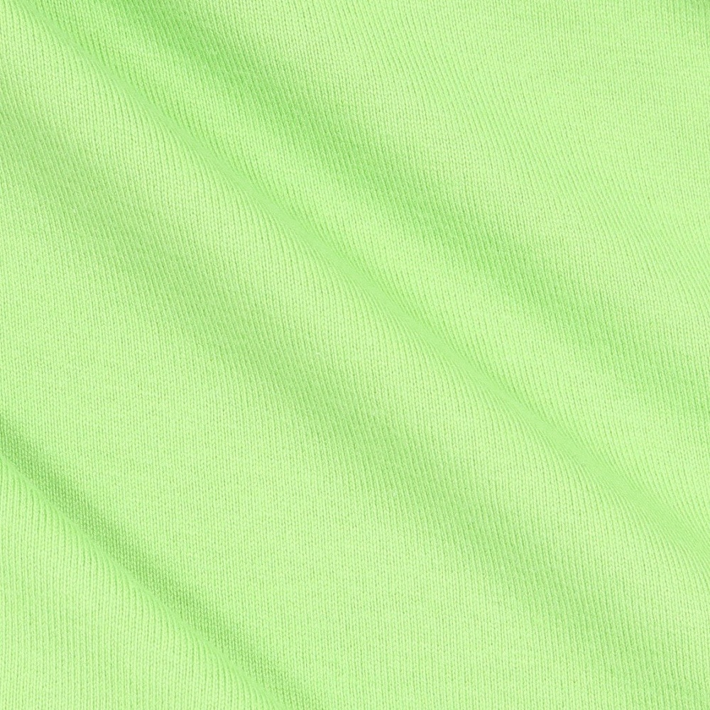 エクストララージ（XLARGE）（メンズ）スタンダード ロゴ ショートスリーブ Tシャツ 101242011006-GREEN