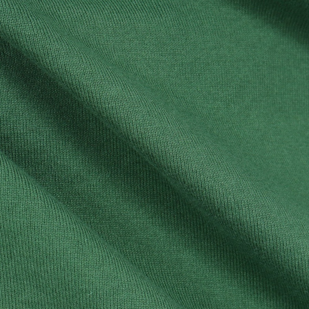 エクストララージ（XLARGE）（メンズ）AROUND THE WORLD ロゴ ショートスリーブ Tシャツ 101242011018-GREEN