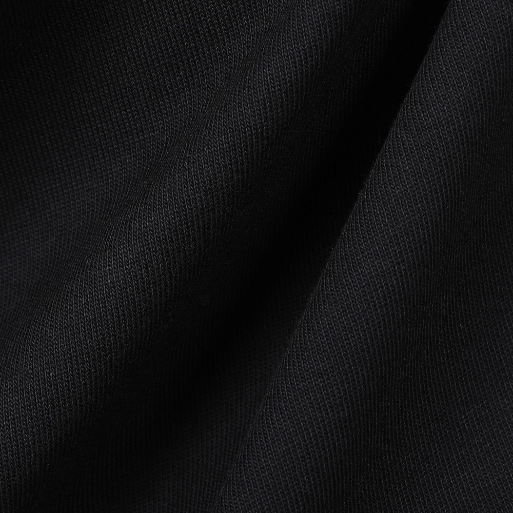 ラコステ（LACOSTE）（メンズ）ヘビーウェイト ブランドネームロゴTシャツ TH2299-99031