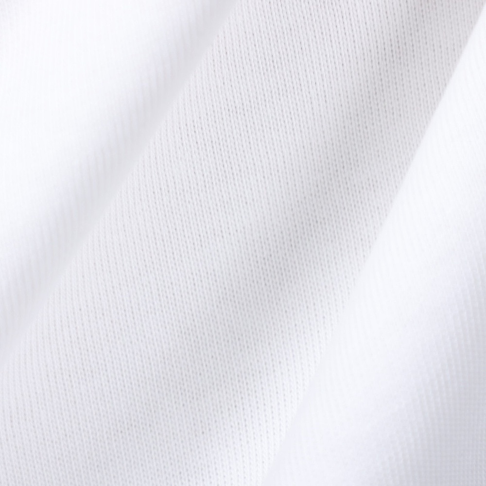 ラコステ（LACOSTE）（メンズ）ヘビーウェイト ブランドネームロゴTシャツ TH2299-9970V