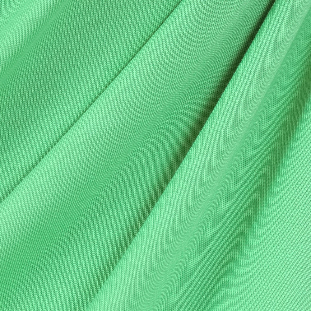 ラコステ（LACOSTE）（メンズ）バックプリントベーシックTシャツ TH4705-99UYX