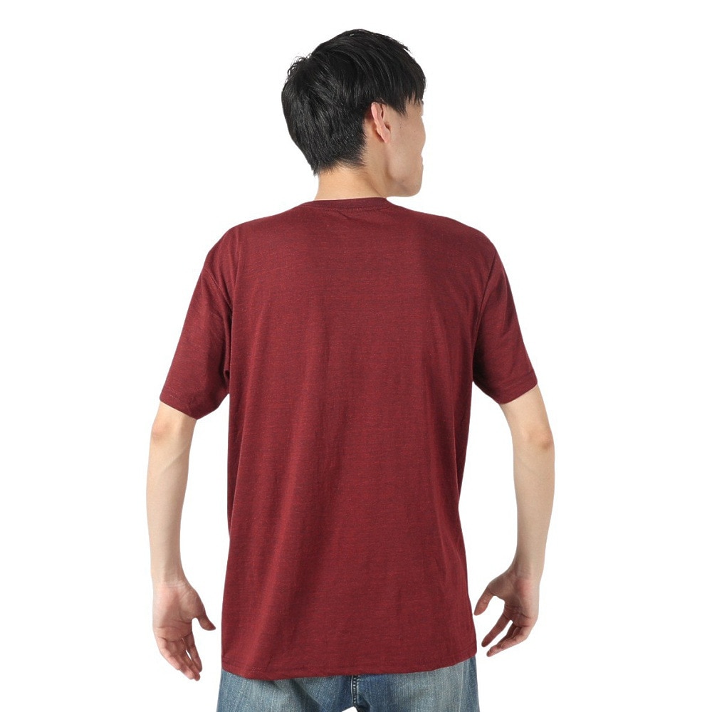 ペール（PALE）（メンズ）半袖Tシャツ DP 18919