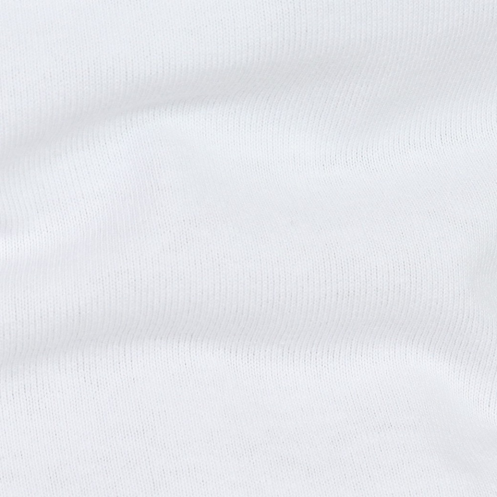 ベンデイビス（BEN DAVIS）（メンズ）ランチスモーク半袖Tシャツ 24580036-WHT