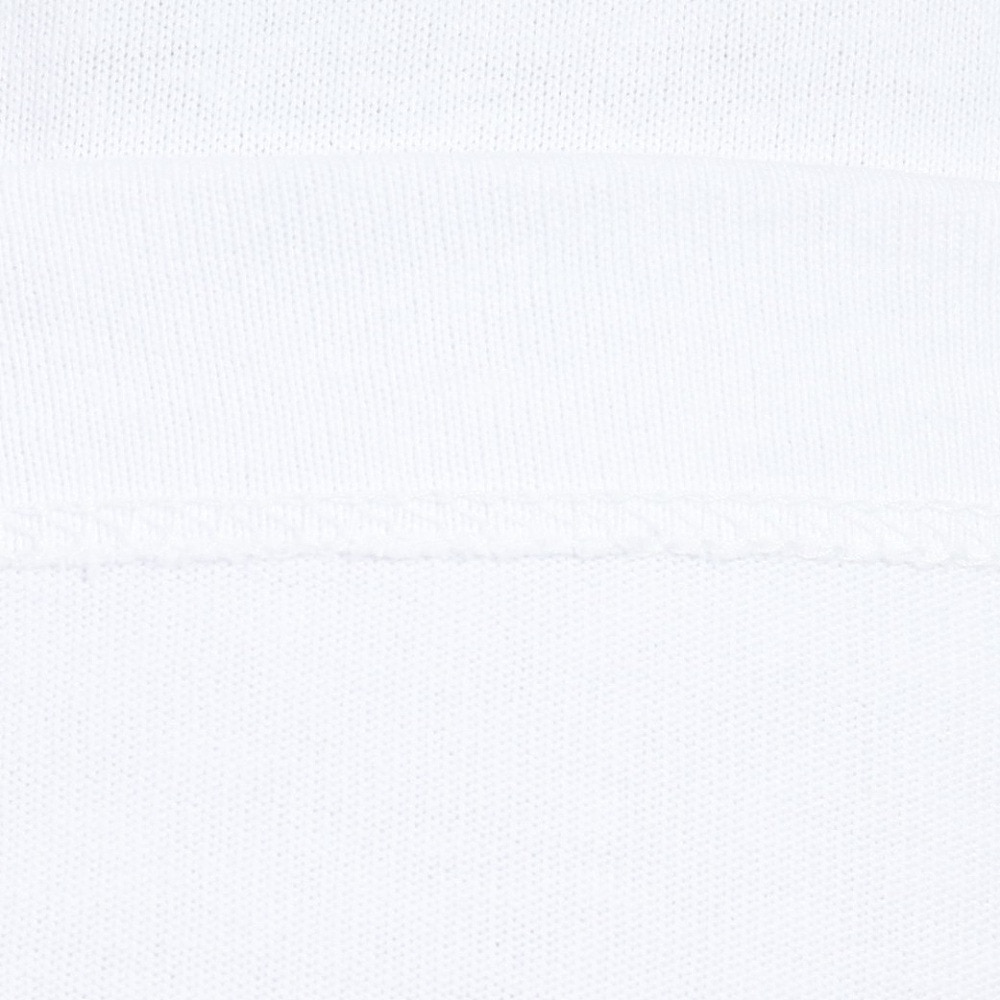 ベンデイビス（BEN DAVIS）（メンズ）フリッジドア 半袖Tシャツ 24580043-WHT