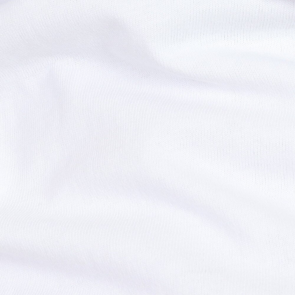 ベンデイビス（BEN DAVIS）（メンズ）フリッジドア 半袖Tシャツ 24580043-WHT