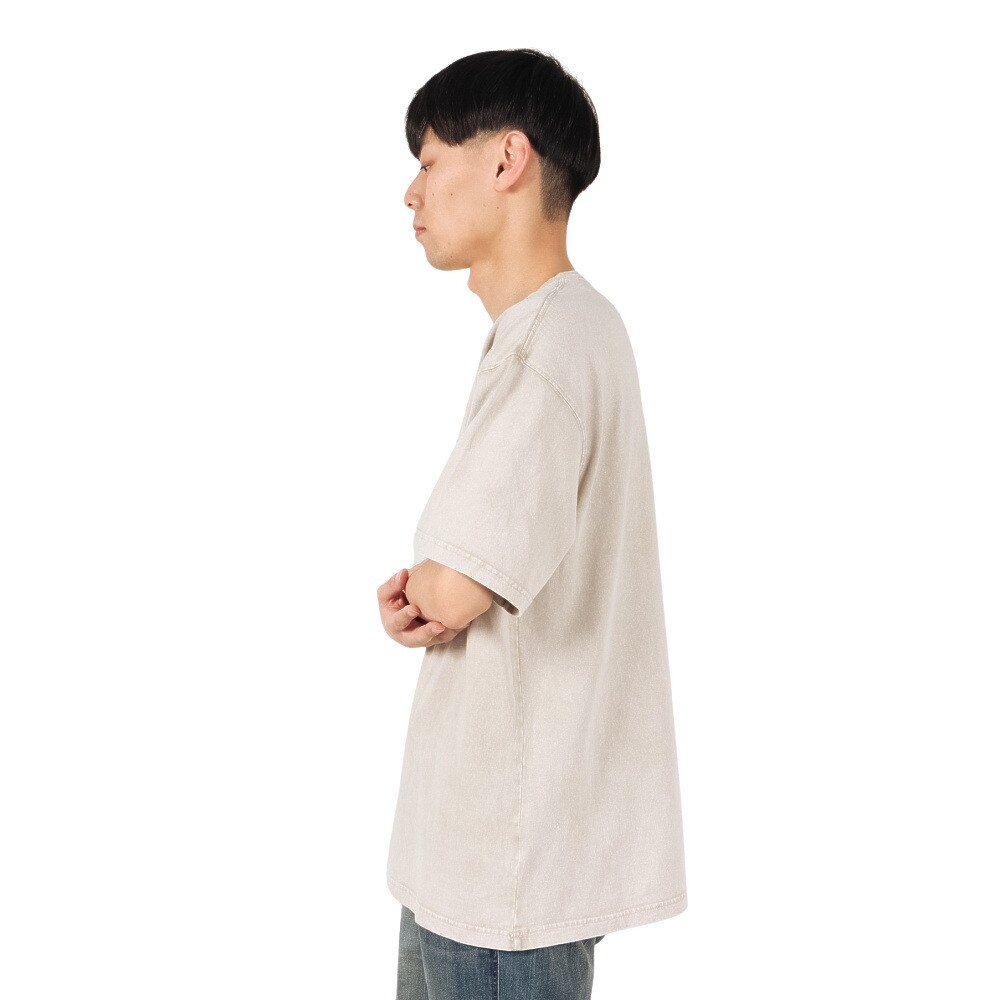 リーフ（REEF）（メンズ）WILD 半袖Tシャツ RFTEM2510-BEG