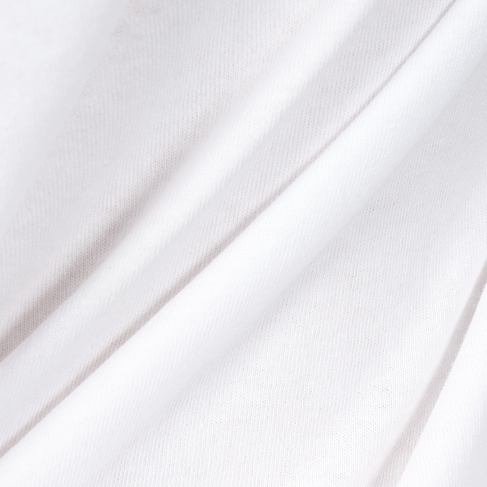 リーフ（REEF）（メンズ）WILD 半袖Tシャツ RFTEM2510-WHT