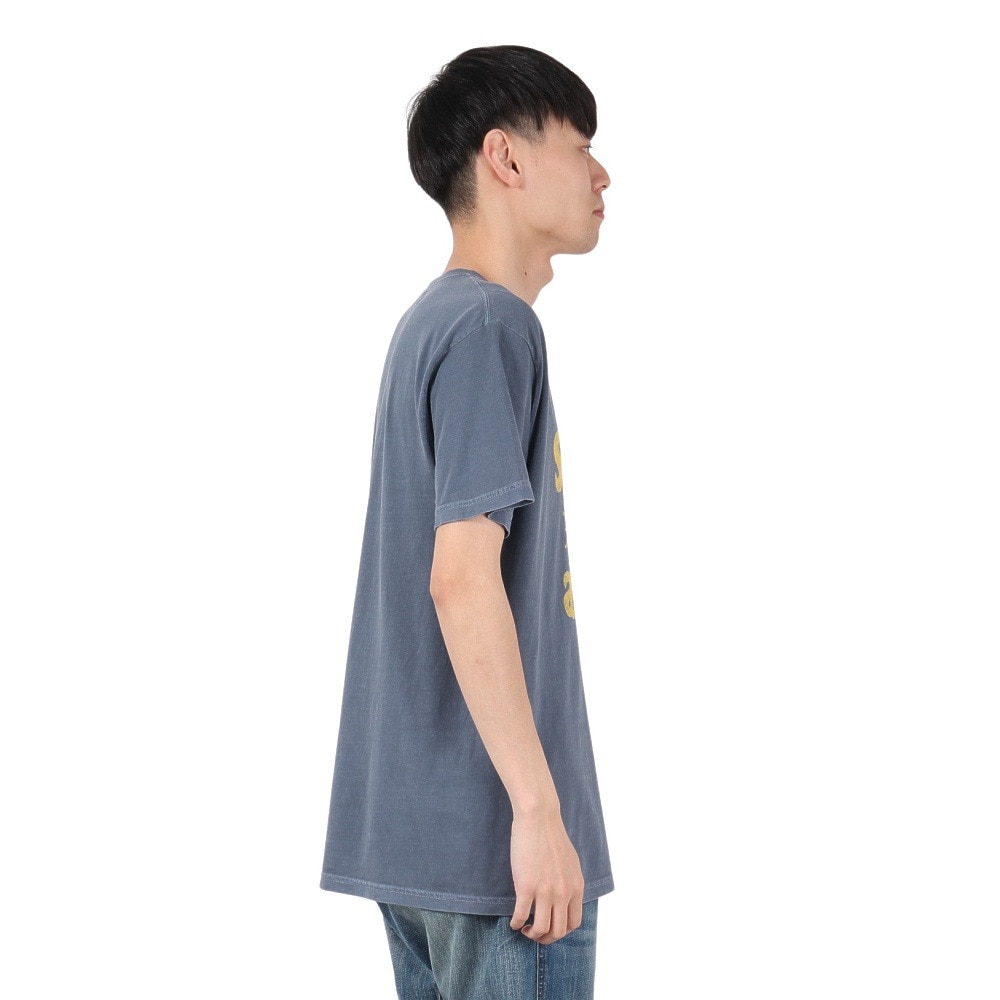 IPD（IPD）（メンズ）SUNNY DAYS 半袖Tシャツ IPDSSSD-911-DNM