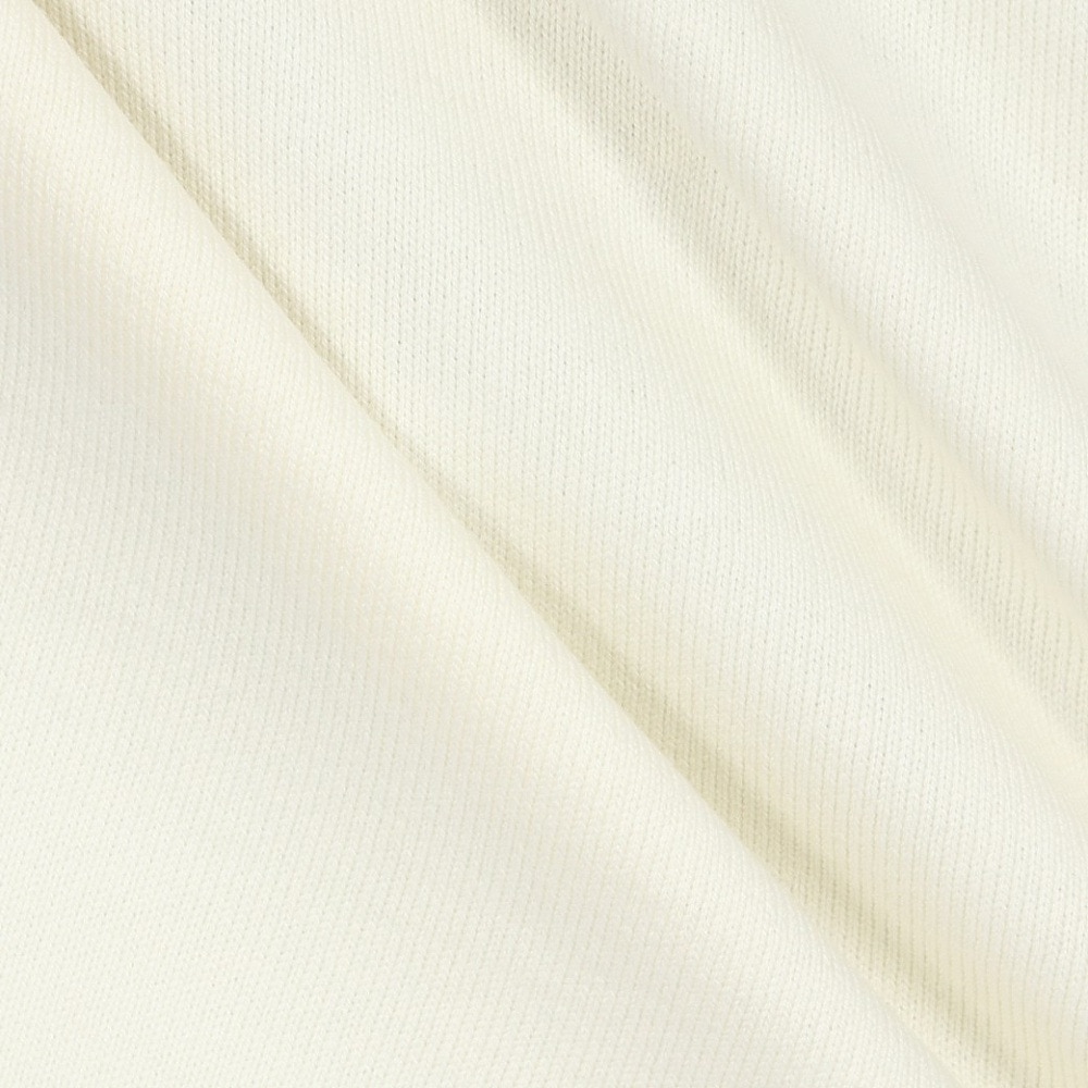 エクストララージ（XLARGE）（メンズ）COMMUNITY SPIRIT 長袖Tシャツ 101251011005-OFF WHITE