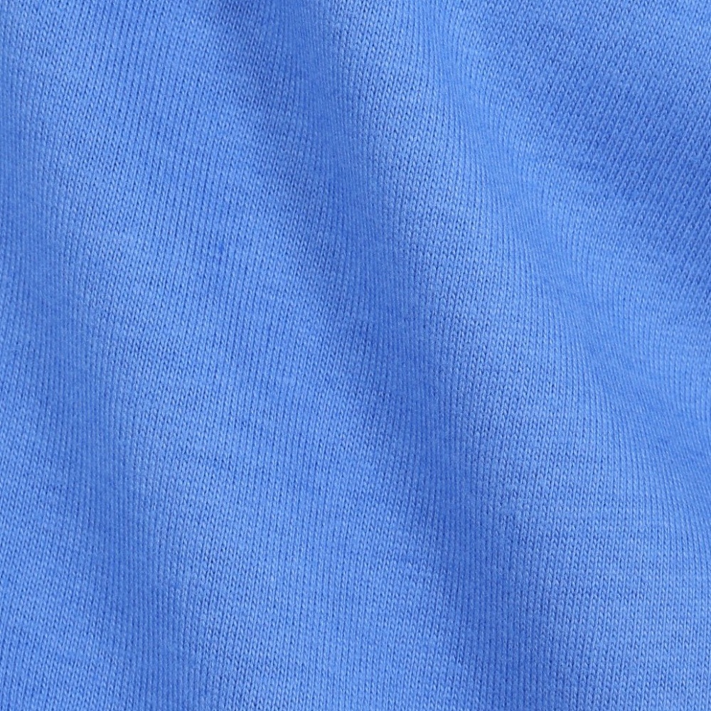 ラッセル（RUSSELL）（メンズ）88/12 カレッジロゴ 長袖Tシャツ RBM25ES0004 RBLU
