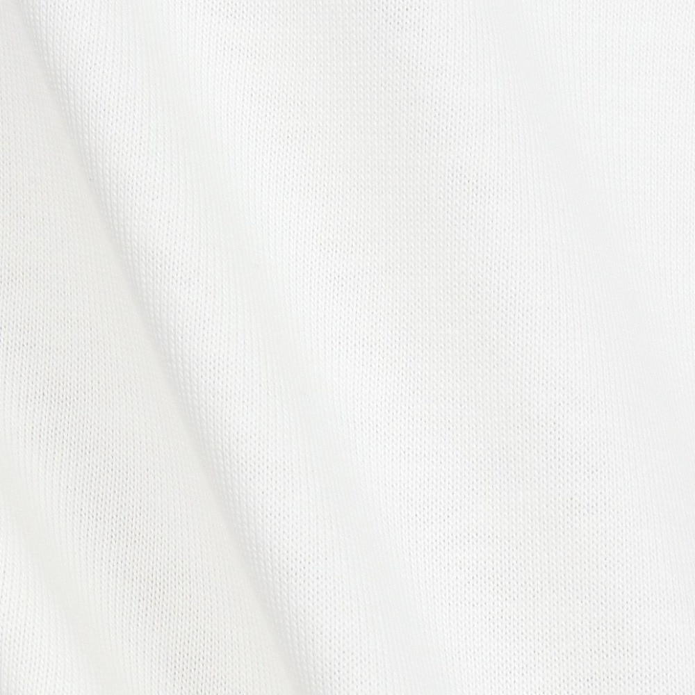 ラッセル（RUSSELL）（メンズ）88/12カレッジロゴ ロングTシャツ RBM25ES0004 WHT