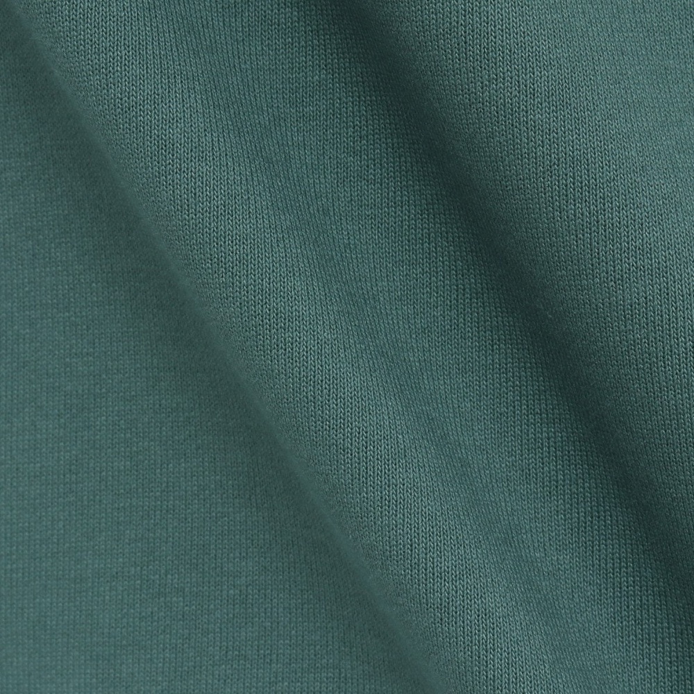 ラッセル（RUSSELL）（メンズ）プロコットン 半袖 REG Tシャツ RBM25S0003 GRN
