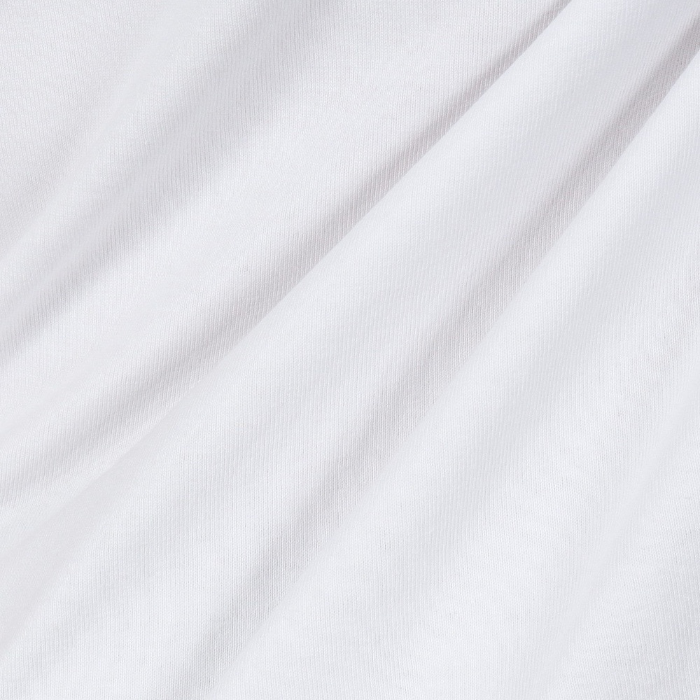 ベンデイビス（BEN DAVIS）（メンズ）ゴリラ刺繍 半袖Tシャツ 25580007-WHT
