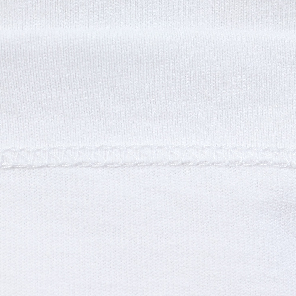 ベンデイビス（BEN DAVIS）（メンズ）クラシックロゴ半袖Tシャツ 25580015-WHT
