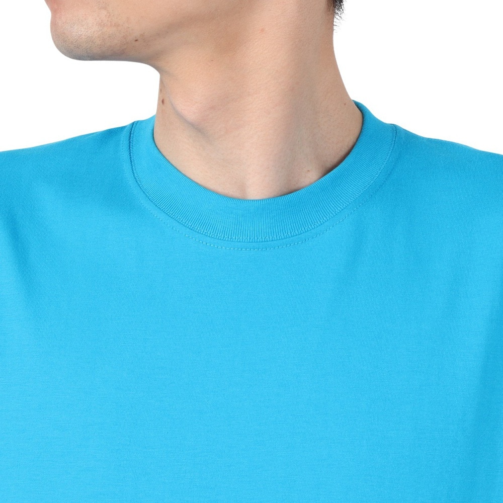 ヘインズ（Hanes）（メンズ）BEEFY PLANE 半袖Tシャツ H5180 342