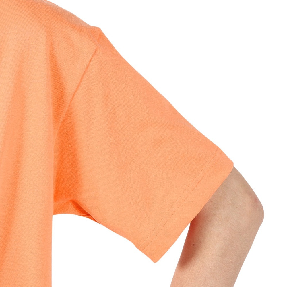 ヘインズ（Hanes）（メンズ）BEEFY PLANE 半袖Tシャツ H5180 820