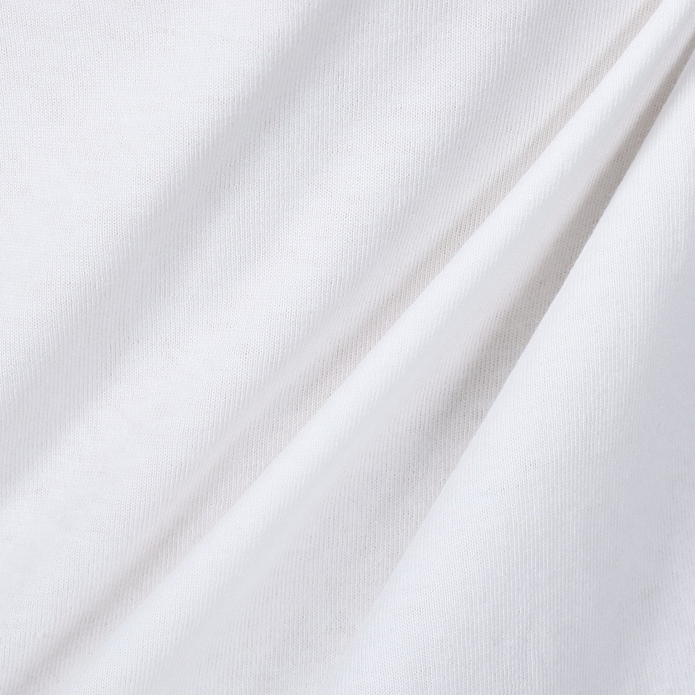 ショット（Schott）（メンズ）アーカイブタグ Tシャツ 782-5134021 WHITE