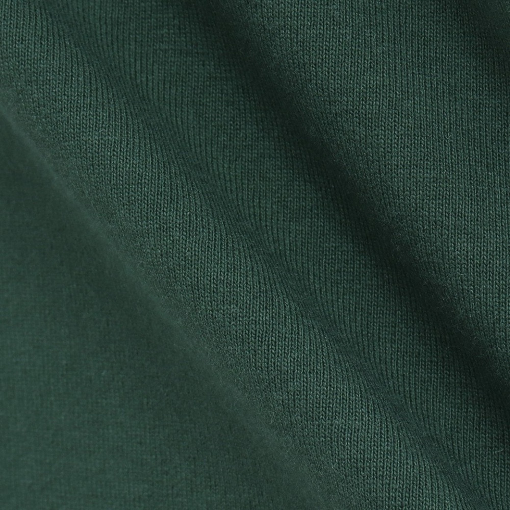 ラッセル（RUSSELL）（メンズ）カレッジタイガー 半袖Tシャツ RBM25S0009 DGRN