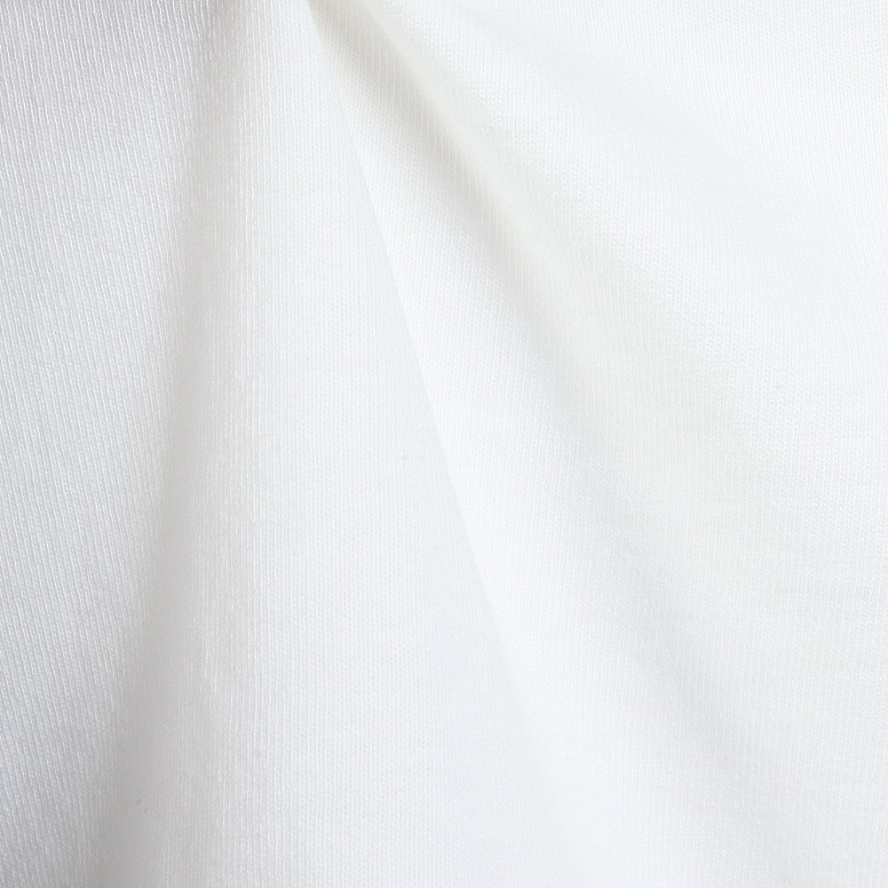 ラッセル（RUSSELL）（メンズ）カレッジリンガー 半袖Tシャツ RBM25S0010 OWHT