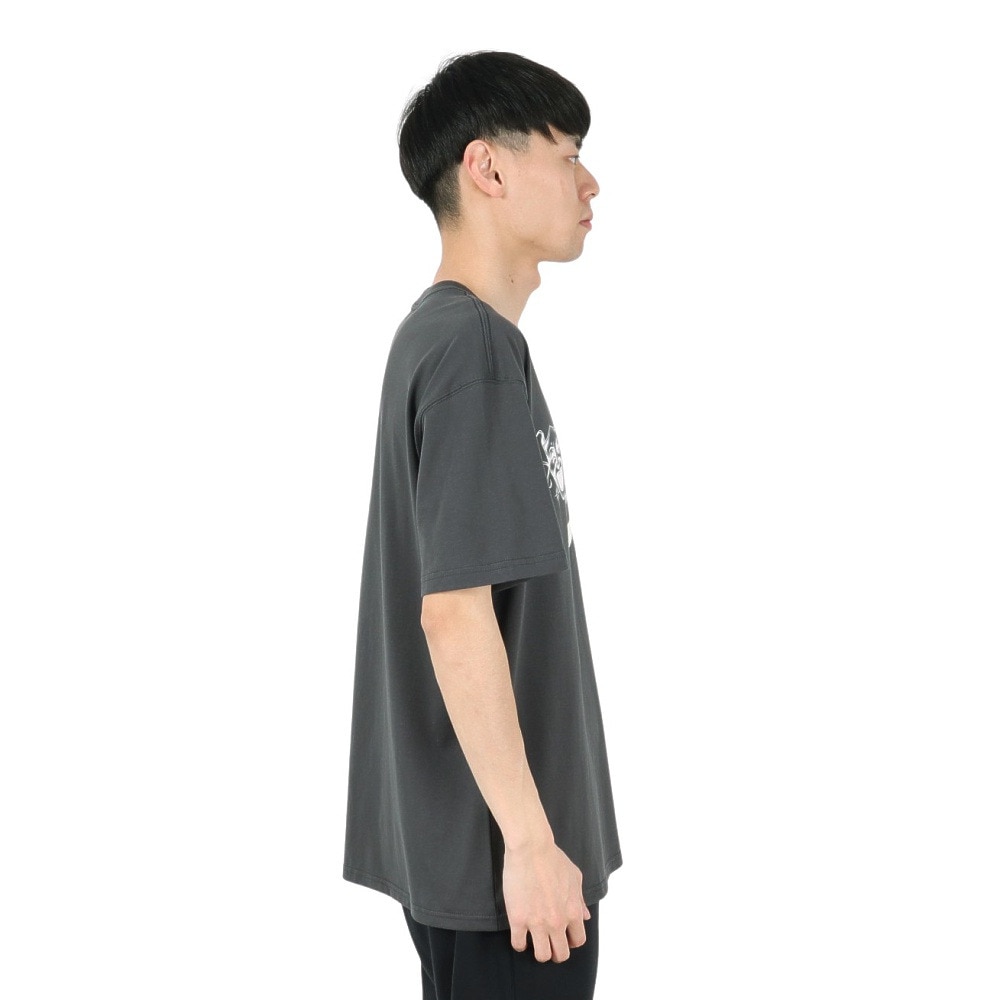 ナイキ（NIKE）（メンズ）SBスケート Tシャツ HAYLEY HJ0815-060