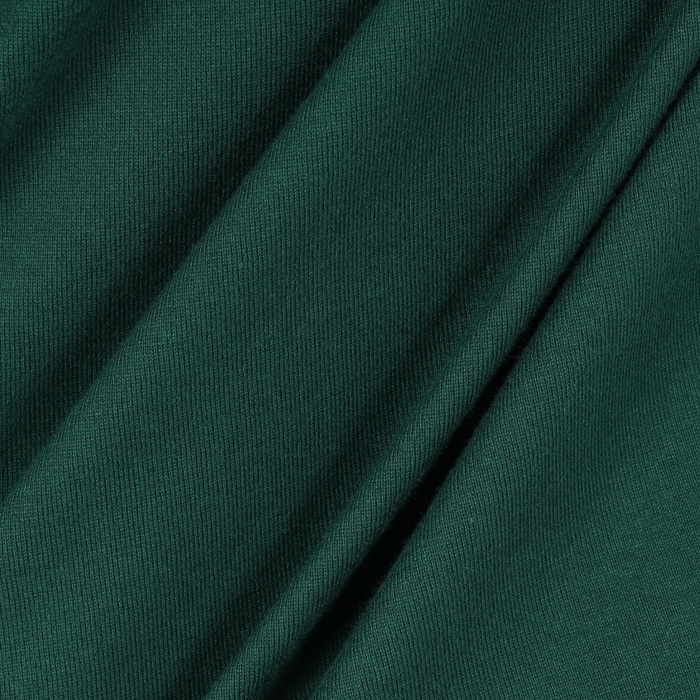 エクストララージ（XLARGE）（メンズ）SLANTED OG 半袖Tシャツ 101252011010-GREEN
